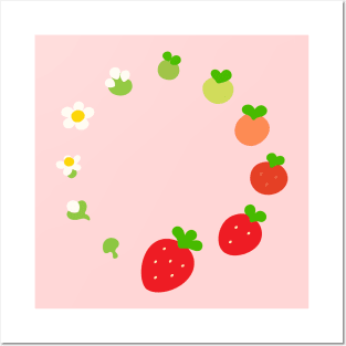 Strawberry Life Cycle Posters and Art